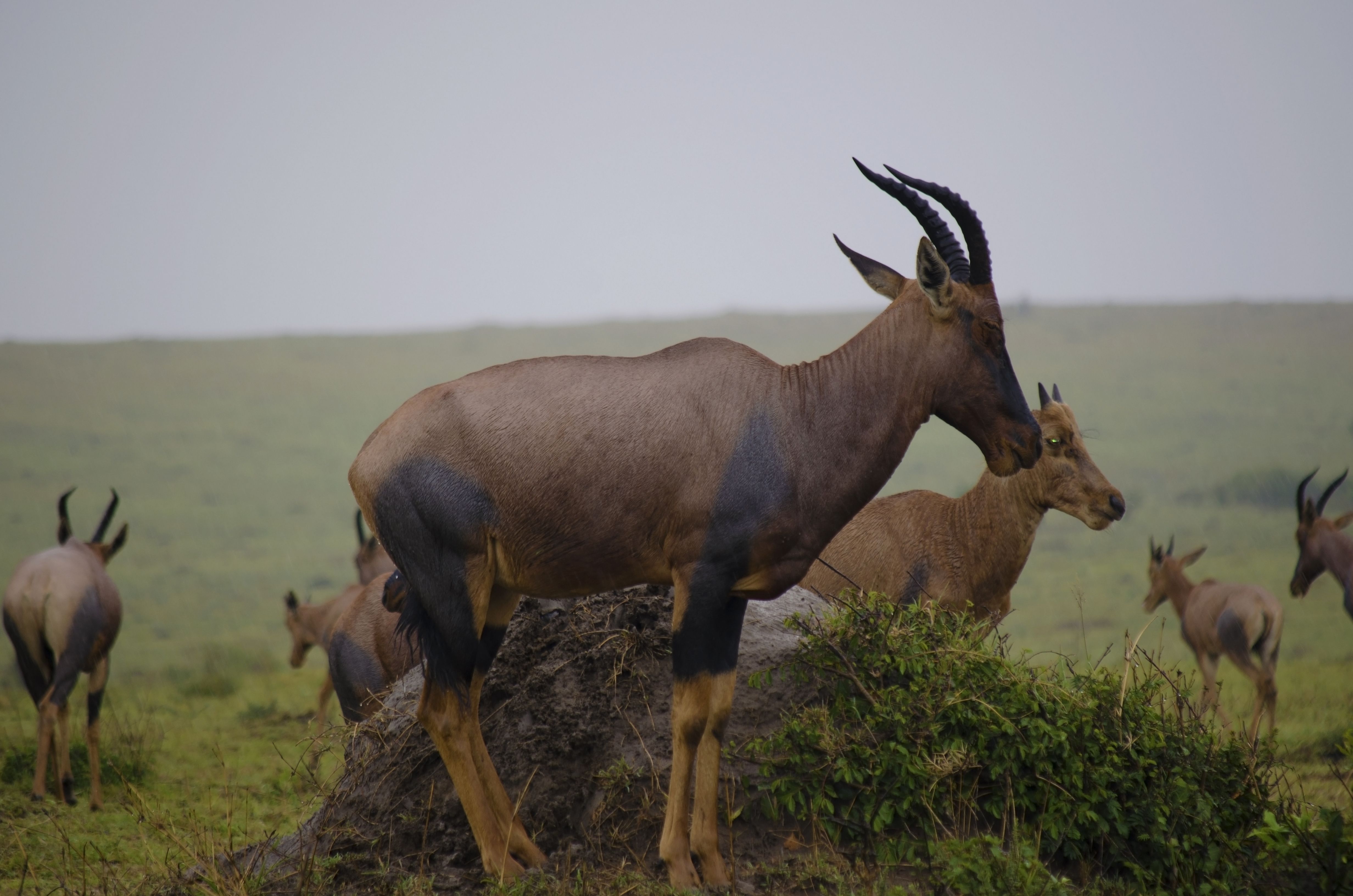 A KENYAN TOURIST ITINERARY